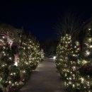 비슬찜질사우나 이미지