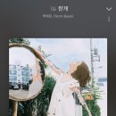 안티프리즈 - 31155 | 안티프리즈
