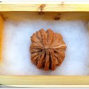 더 귀족 이미지