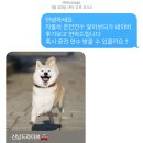탄지교육 이미지