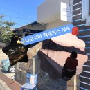 24게스트하우스 명동타운점 | 나오시마섬 혼무라 숙소, 나오시마 백패커스 게스트하우스 혼성 도미토리 후기