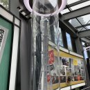 시애틀 필수 여행 코스! Chihuly Garden and Glass 와 Space Niddle 방문 후기