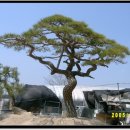 고양농장 이미지