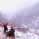 아라한 이미지