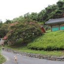 충화 선조대왕 태실비 이미지