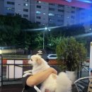 치어스인창점 이미지