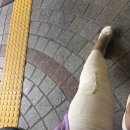 둔산성모정형외과의원 이미지