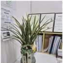 서울행정사 이미지