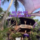 요가 추천 | 요가반 (Yoga Barn) 이브닝 플로우 클래스 후기 + 우붓 요가원 비교 - 1인 1.4만원, 현장...