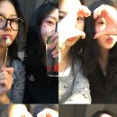 애견아트 이미지