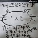 고양이발자국 이미지