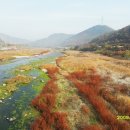 방호정민박 이미지