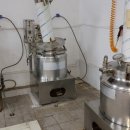 방어진흑염소 이미지