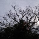 무릉2리(인향동) 이미지