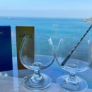 AstroWhale 이미지