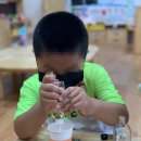 직산초등학교 병설유치원 이미지