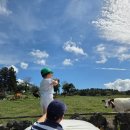 봉덕목장 이미지