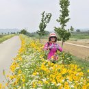 이천버스터미널 이미지