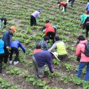 산채으뜸마을 이미지