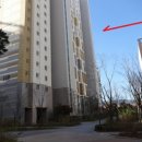 수원-1361 이미지