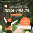 &#34;여행이 최고의 자원봉사&#34;..&#39;강릉아리바우길 걷기 여행&#39;으로 산불 피해 지원 동참하세요! 이미지