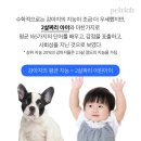 'Netizen 신비동물의 왕국' 2017. 10. 29(일요특집) 이미지