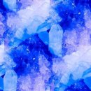 푸른 둥지 이미지