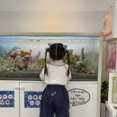 룩 소굿 이미지