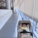 산울동_복합커뮤니티센터 | [세종 아기랑 가볼만한 곳] 산울동 평생교육원 다녀왔어요🙂(이용방법, 취식, 도서관, 수유실)