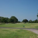 피닉스클럽 이미지