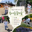 푸른꿈도서관 | 북서울꿈의숲 서울 아이랑 가볼만한 곳 | 주차, 놀이터, 사슴방사장까지 총정리
