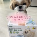 위드미미 | [내돈내산] 다이소 강아지 고양이 노즈워크 장난감, 회전 먹이퍼즐 사용 후기 Review