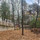 쌍용아파트후문 이미지