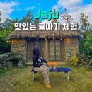 제주도 감귤체험 서귀포 귤따기 체험 제주농원901 추천 택배