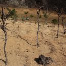 고산 제2농장 이미지