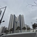 생활속의 조경이야기(야간) | 개포디에이치퍼스티어 아이파크 스카이라운지 방문기 그리고 아쉬운점