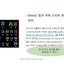 동명에너지 이미지