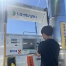 수민동-9 | [가평] 자라섬 꽃페스타 그리고 놀고먹고