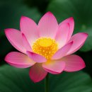 연화문호텔을왕 | 을왕리 호텔 추천｜감성 숙소 찾는다면 &#39;연화문 호텔 을왕&#39; 강력 추천!