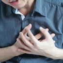 사미자 카카오 검색결과