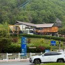 단양군시티투어 | 아이랑 단양 여행 코스 &#39;만천하 스카이워크&#39; 올라가는 방법, 후기
