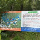 비채야영장 이미지