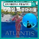 호텔자유1 | [하이난 자유여행 4일차-1] 산야 아틀란티스 호텔 수영장, 아쿠아리움 후기 및 이용 팁