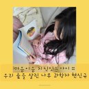 (주)동화미생물연구소 | 초등추천도서 마음이음 지식잇는아이 :: 우리 숲을 살린 나무 과학자 현신규