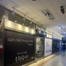 토월성원아파트 맞은 편 이미지