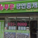 신가재개발공인중개사사무소 | [신림동 월세] 늘푸른공인중개사사무소 신림동 월세 늘푸른공인중개사사무소, 재개발 투자 전문