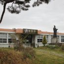 숲골농원매실