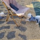 생림오토캠핑장 이미지