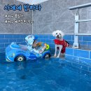 사계에반하다 이미지