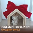 자연주의디자인하우스 | 다우드플레이 펫하우스ㅣ고양이 강아지 조립형 하우스 추천